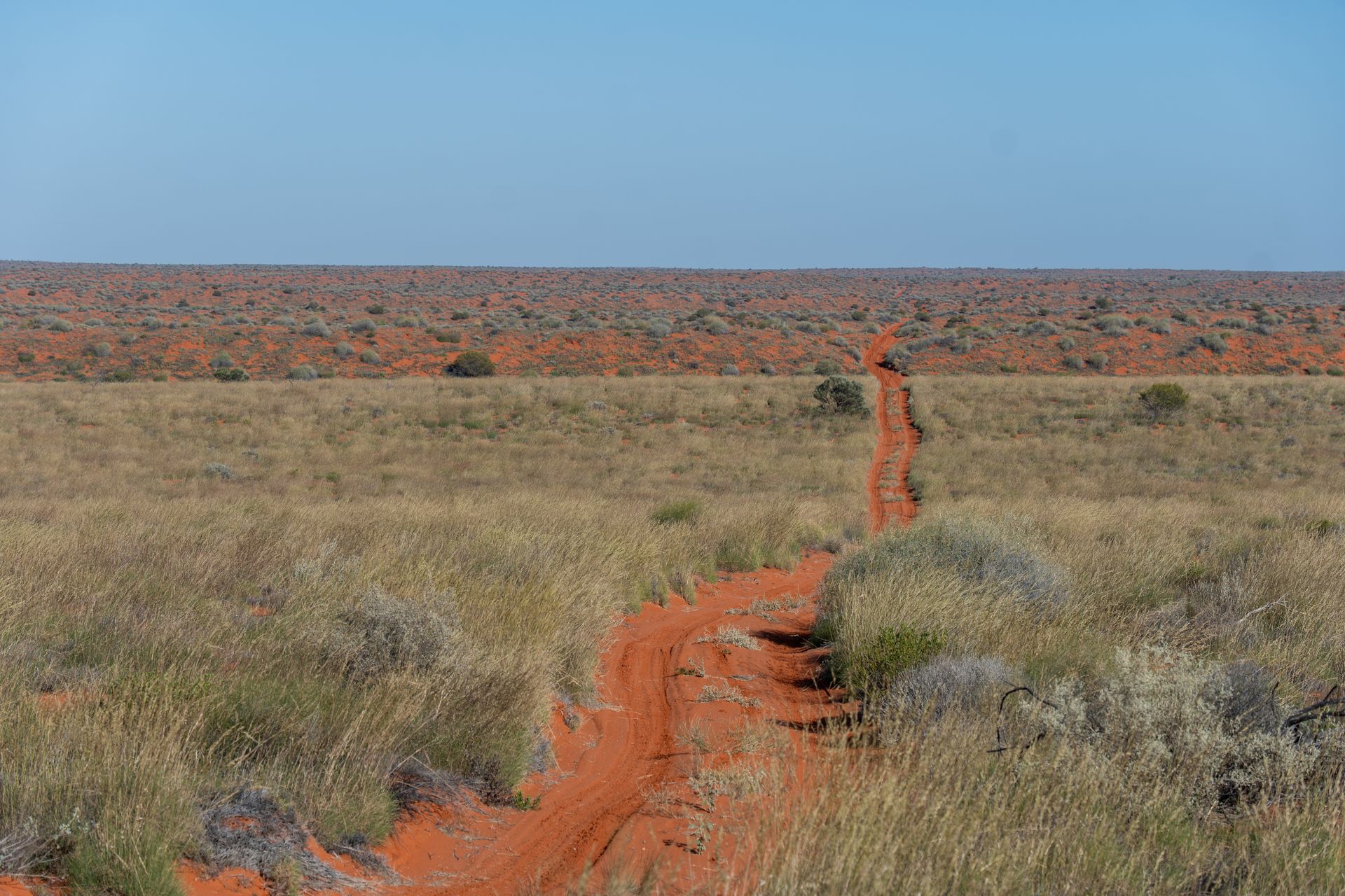 Red dirt road through the Australian outback
